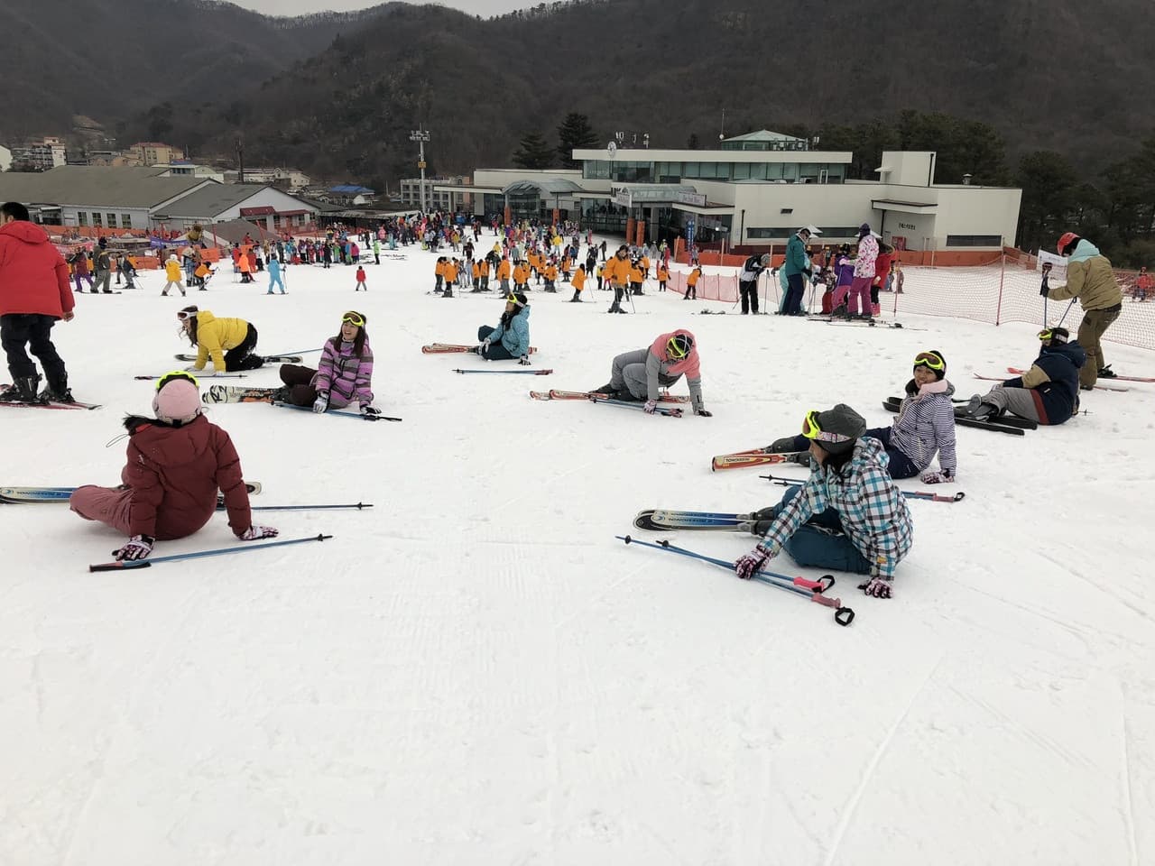 Jisan Forest Ski Resort Full-Day Tour from Seoul - image 5