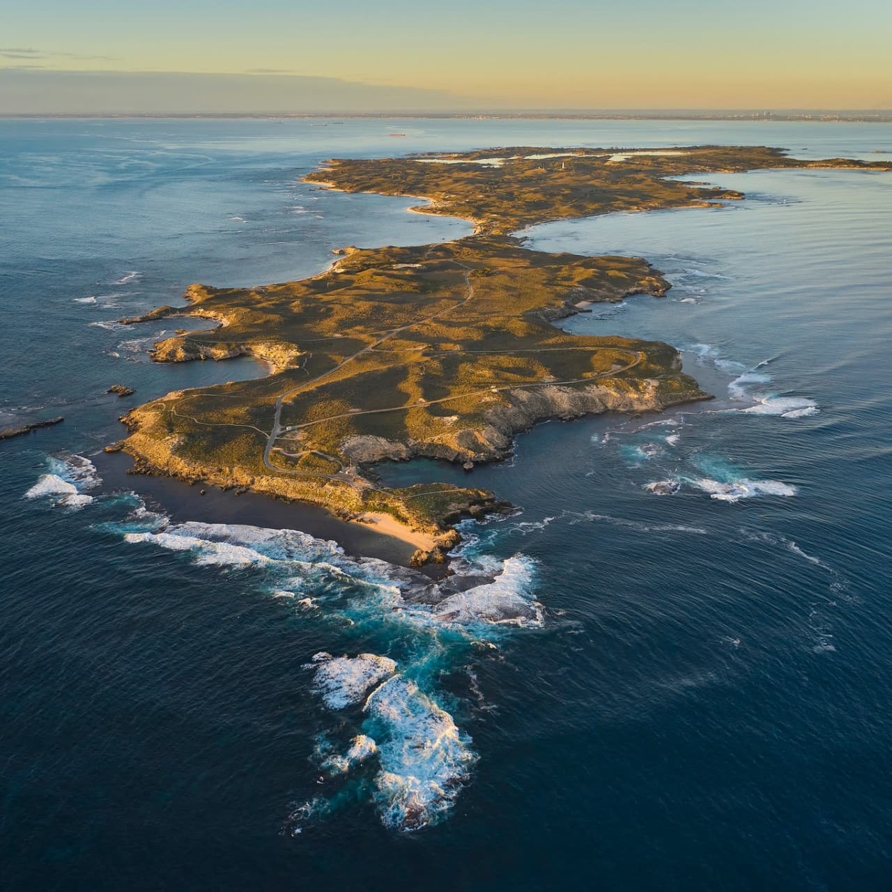 Rottnest Island Bayseeker Bus Tour with Round Trip SeaLink Ferry Transfer - imagen 5
