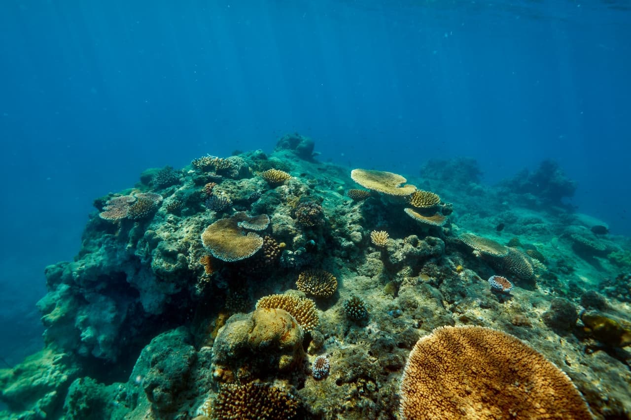 Green Island Reef Full-Day Cruise - image 6