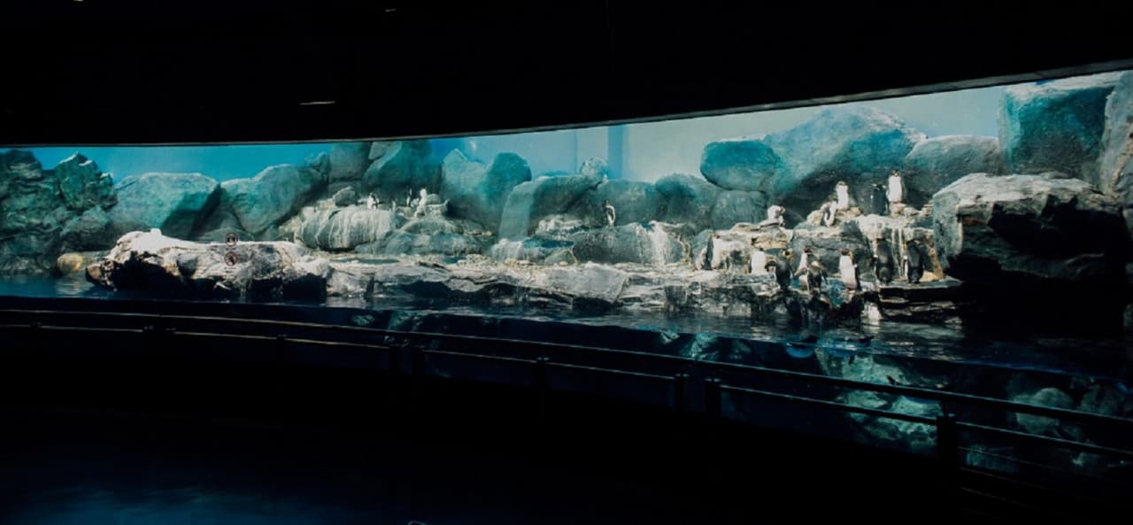 Underwater World Langkawi Ticket - image 19