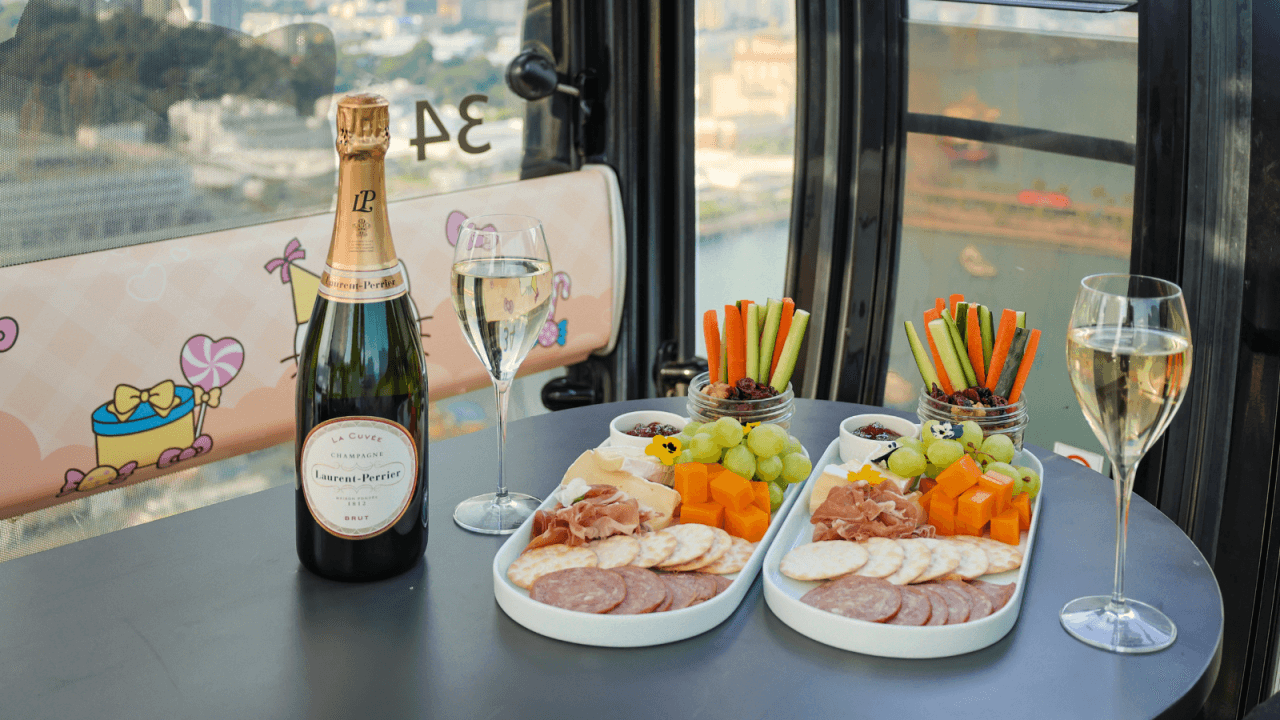 Singapore Cable Car Sky Dining Experience - image 3