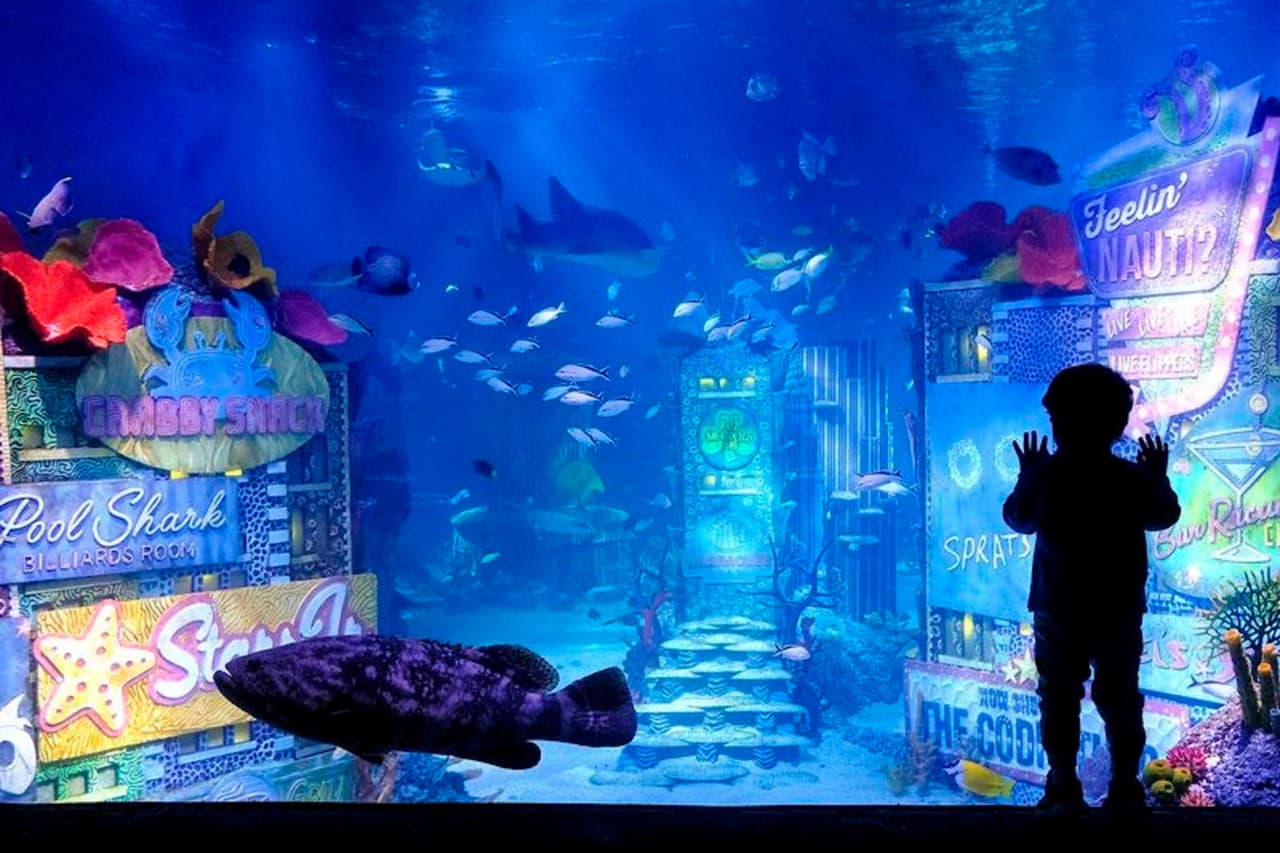 SEA LIFE New Jersey Aquarium Ticket - image 8