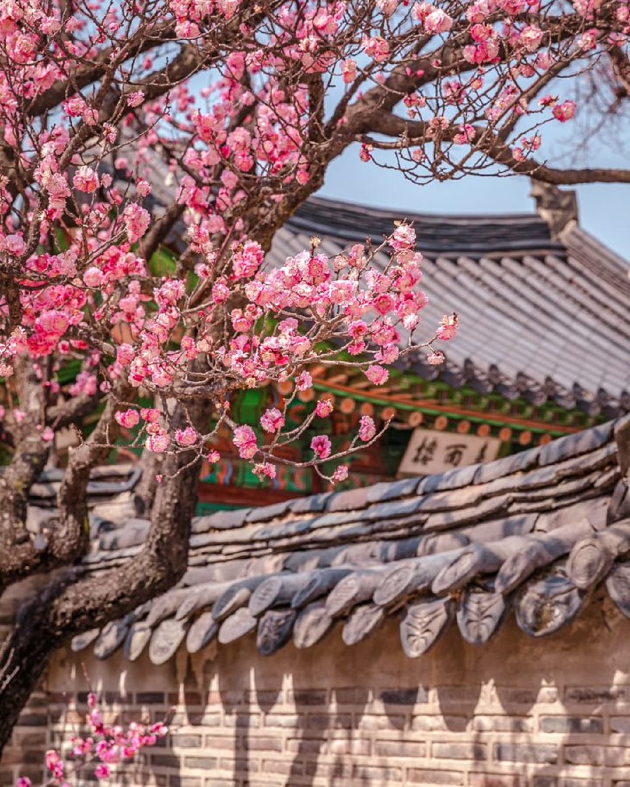 Discover Seoul Pass - 이미지 18