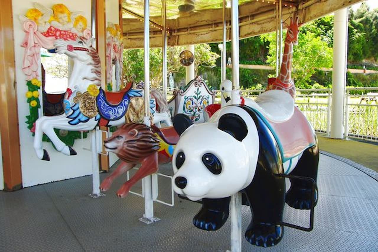 Okinawa Zoo & Museum Ticket - image 10
