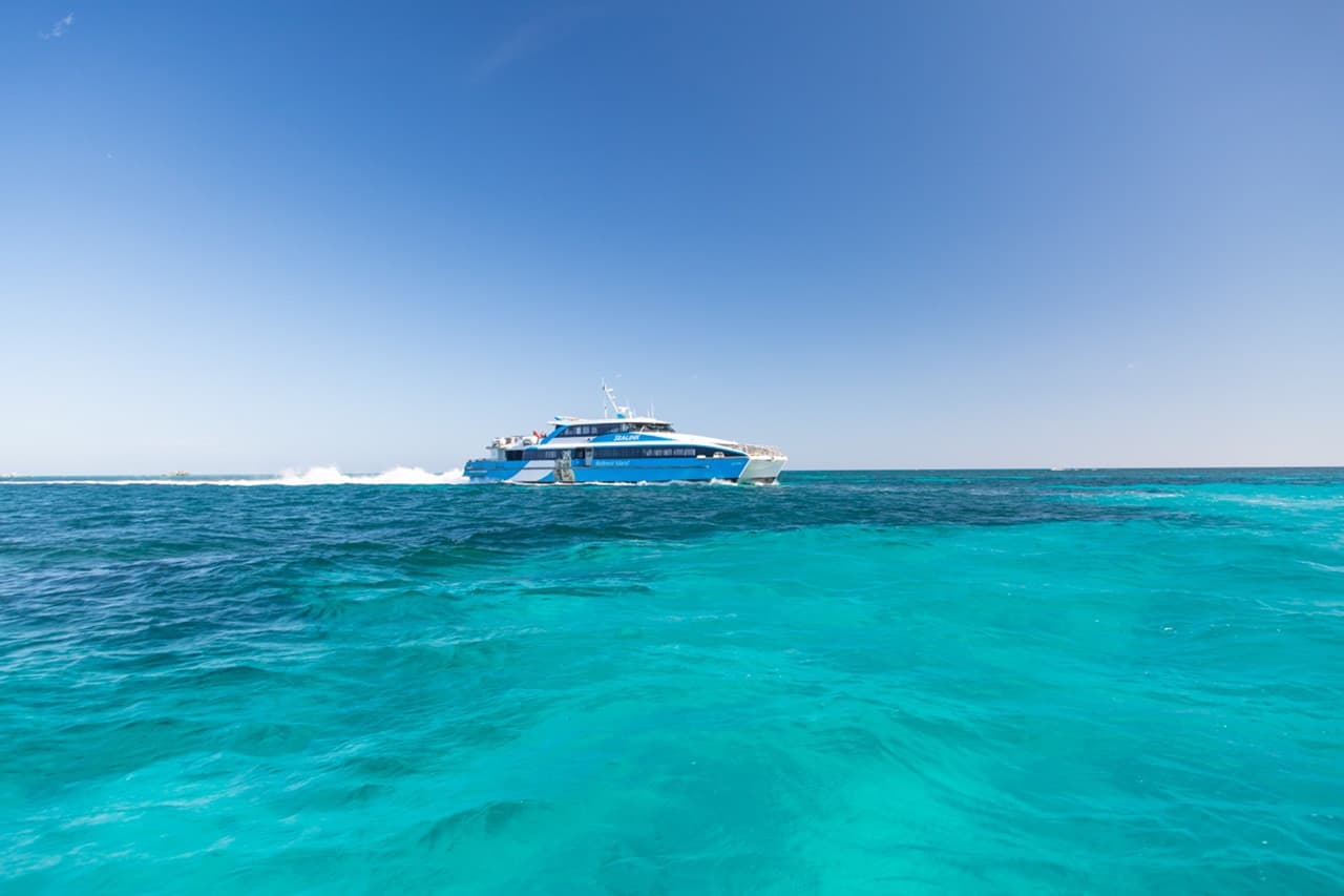 Round Trip SeaLink Ferry Transfer to Rottnest Island with Bike Hire - image 12