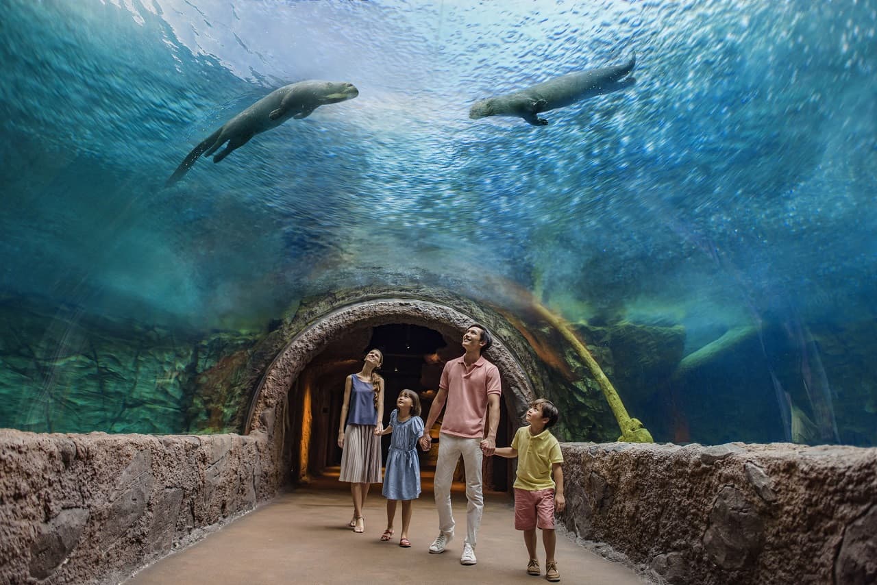 5-in-1 Day Pass: Night Safari + Singapore Zoo + Bird Paradise + River Wonders + Rainforest Adventure - image 11