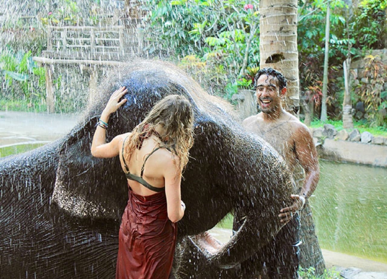 Lombok Wildlife Park: Intimate Wildlife Experience - image 4