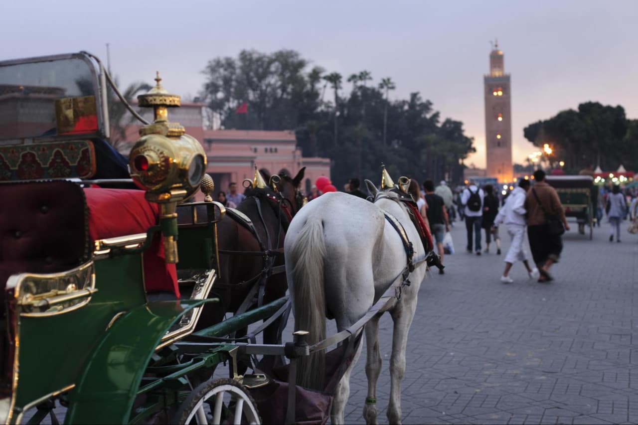 Marrakech Full-Day Tour from Casablanca: Koutoubia Mosque, Menara Gardens, Djemaa El Fna Square - image 3