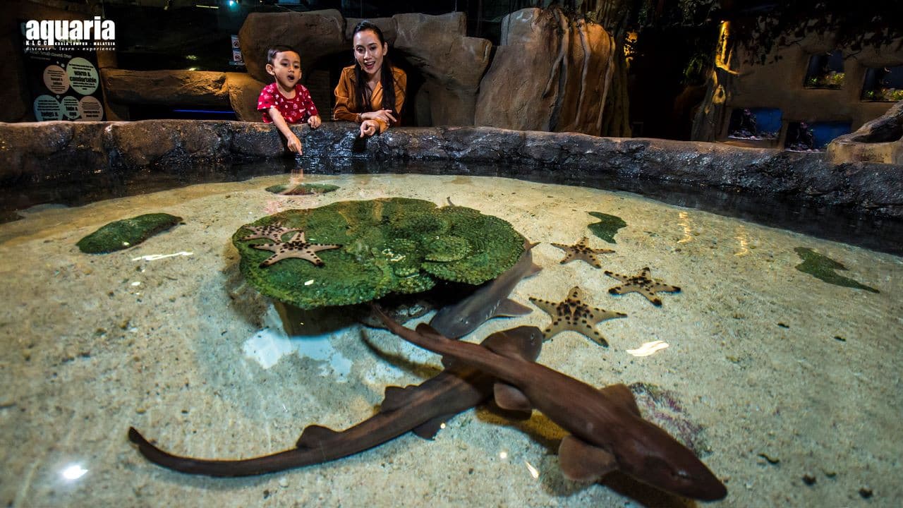 Aquaria KLCC Ticket - image 8