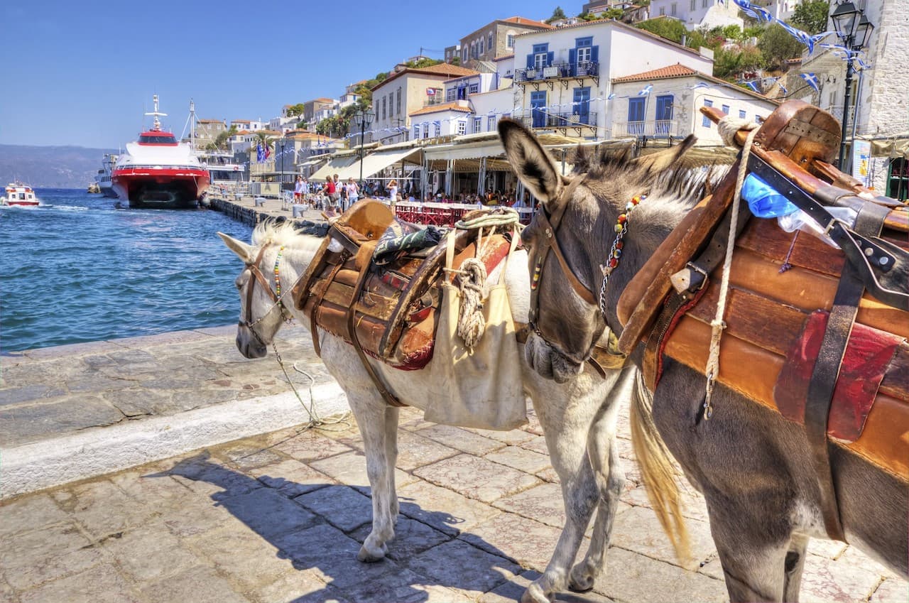 Poros, Hydra, and Aegina Islands Cruise and Full-Day Tour - imagen 9