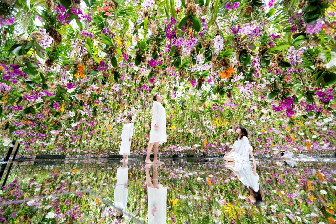 teamLab Planets TOKYO Ticket - image 3