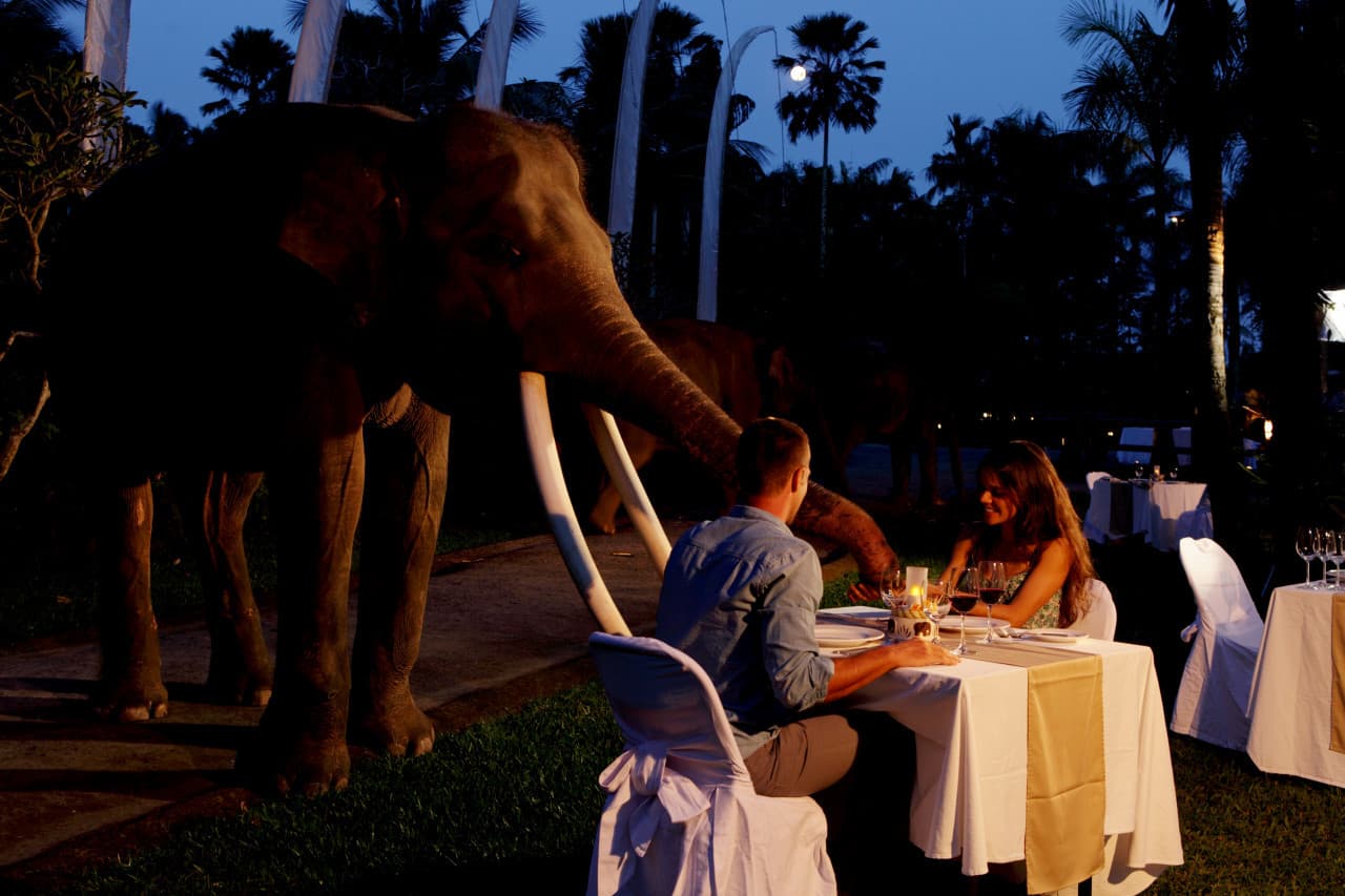 Mason Elephant Park Bali de Mason Adventures (anteriormente conocido como Elephant Safari Park) - imagen 12