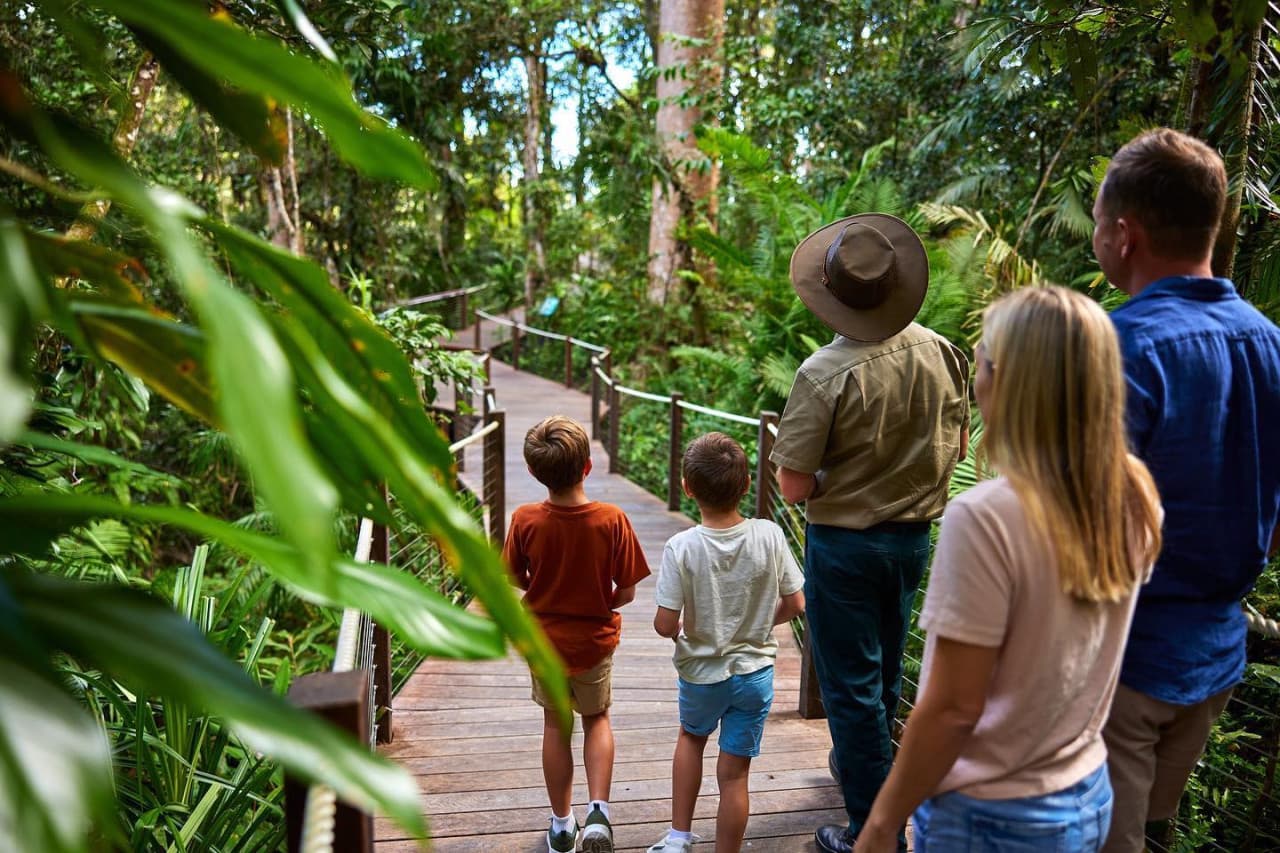 Skyrail Rainforest Cableway with Optional Kuranda Scenic Train Ticket and Hotel Pick-Up - imagen 8