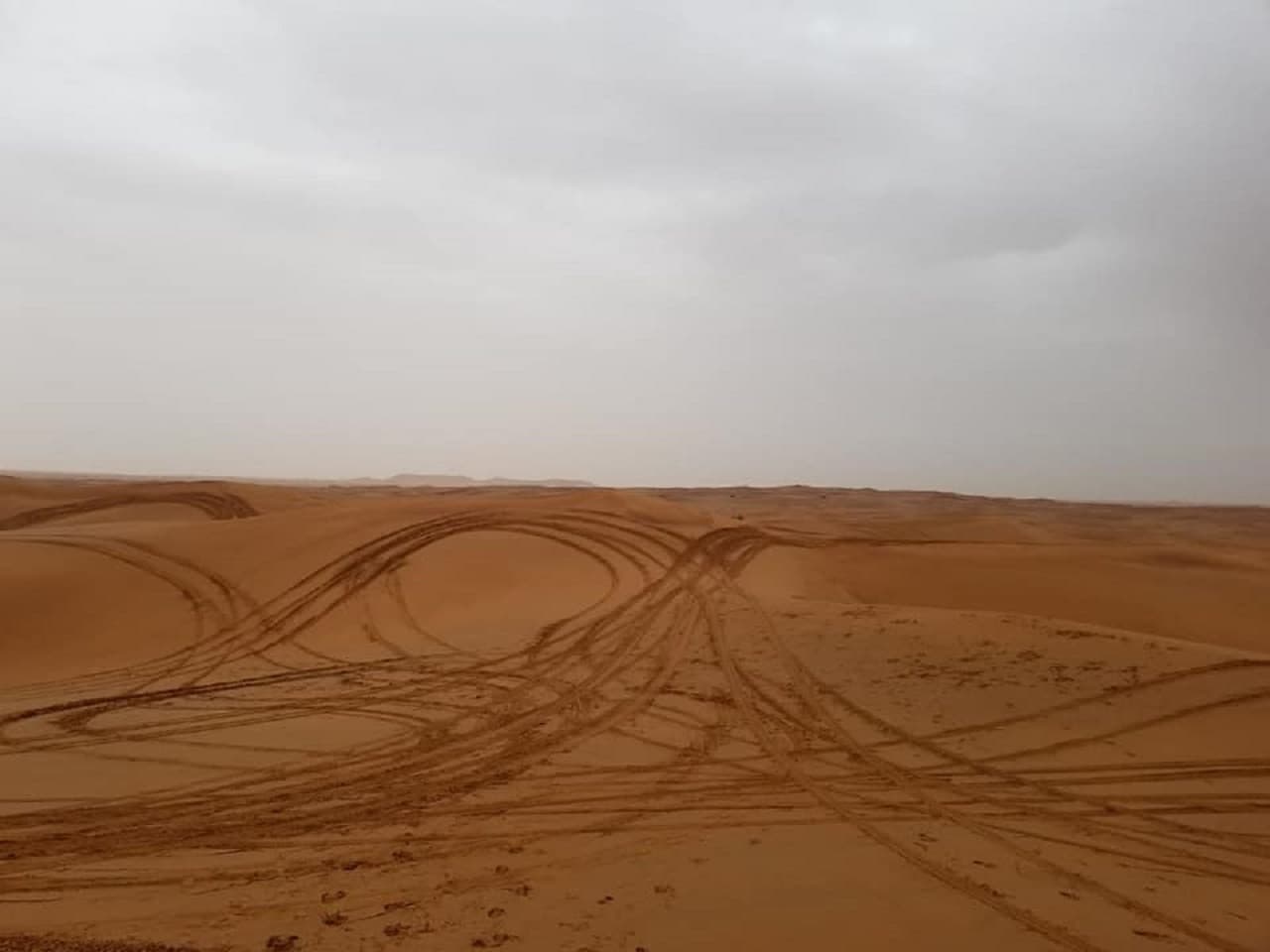 Dubai Hummer Desert Safari Private Tour - imagen 4