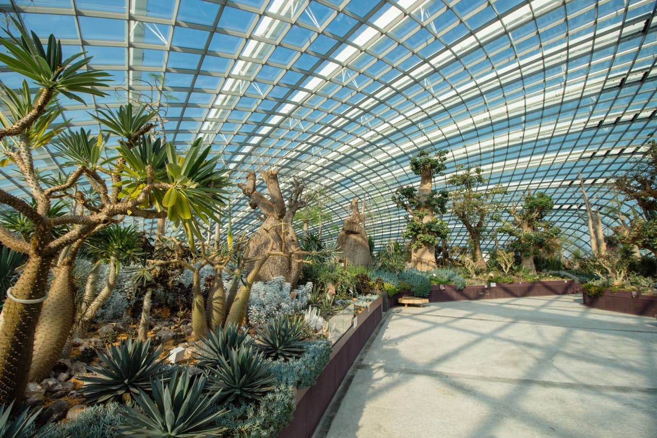 COMBO: Skyline Luge Singapore + Gardens by the Bay Ticket - image 14