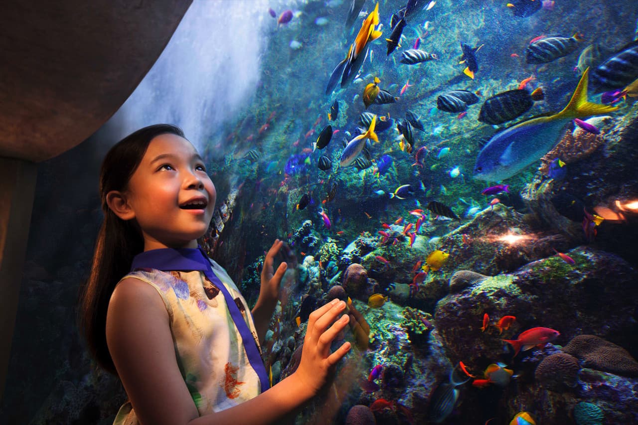 Go City Dubai Pase Todo Incluido: Ahorre hasta un 50% en atracciones - imagen 29