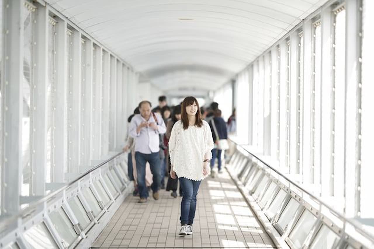 Tokushima Prefectural Uzu-no-Michi Ticket - image 3