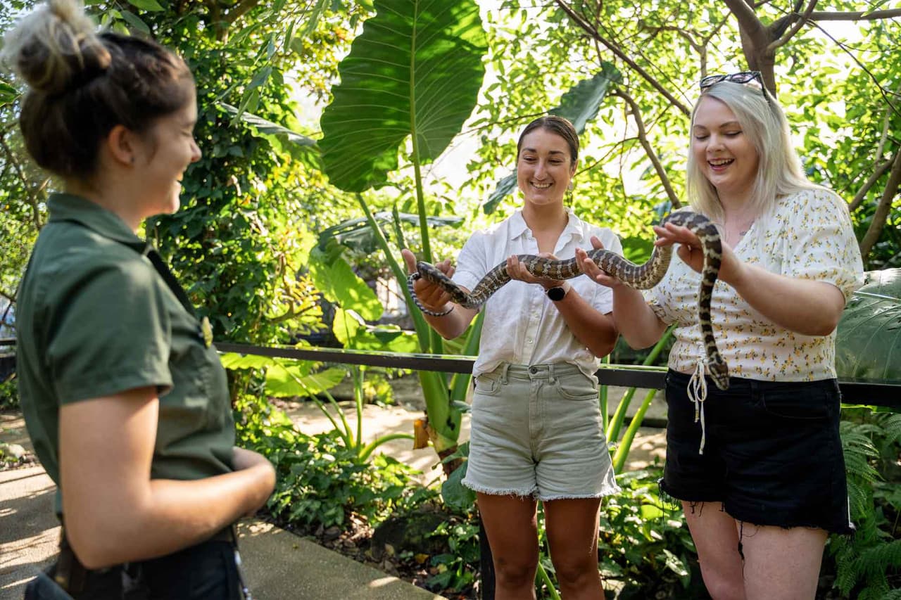 Wildlife Habitat Port Douglas Ticket - image 2
