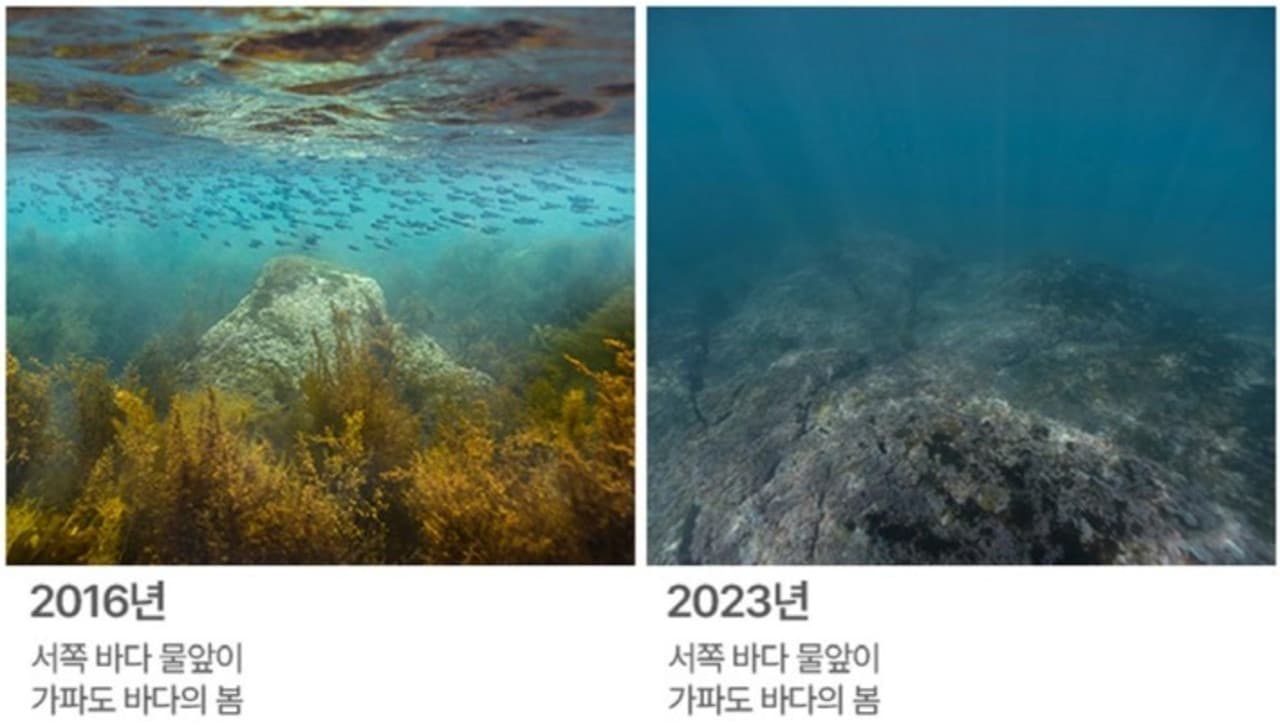 Aqua Planet Jeju Aquarium Ticket - image 17