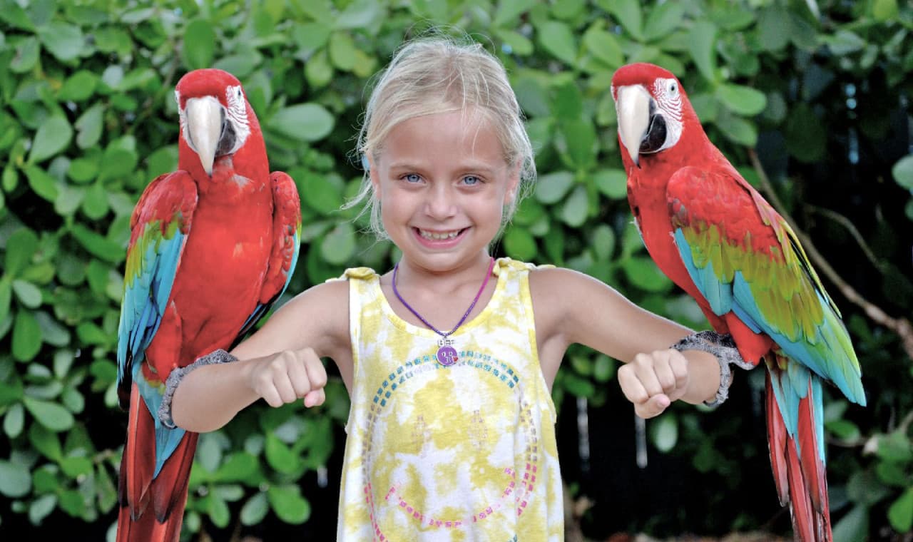 Go City Orlando All-Inclusive Pass: Save up to 50% on Attractions - image 21