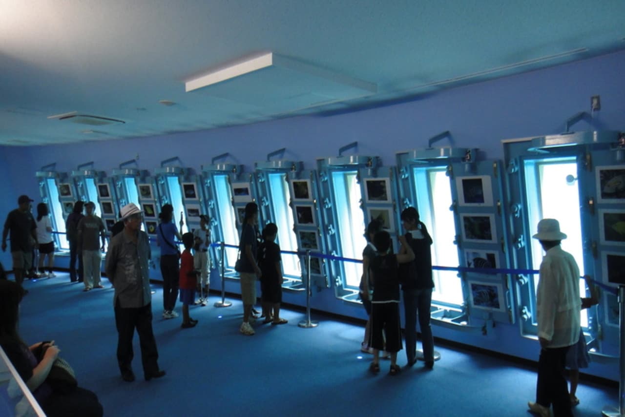 Okinawa Miyakojima Undersea Park - main image