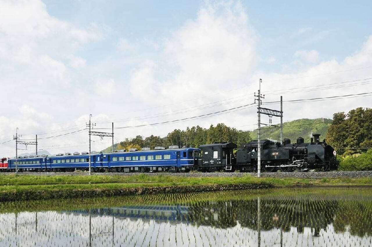 Nikko Pass All Area - image 2
