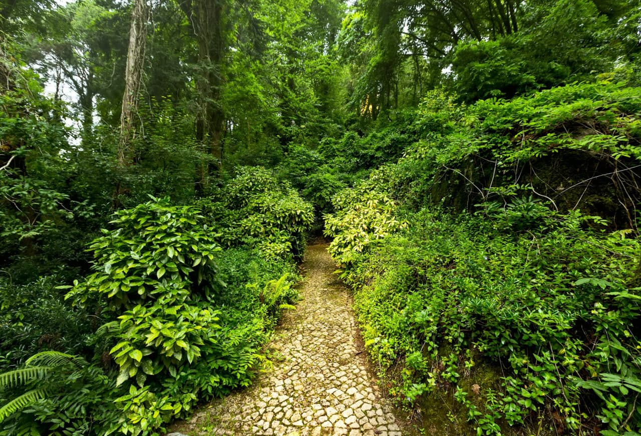 Pena Park in Sintra Ticket - image 2