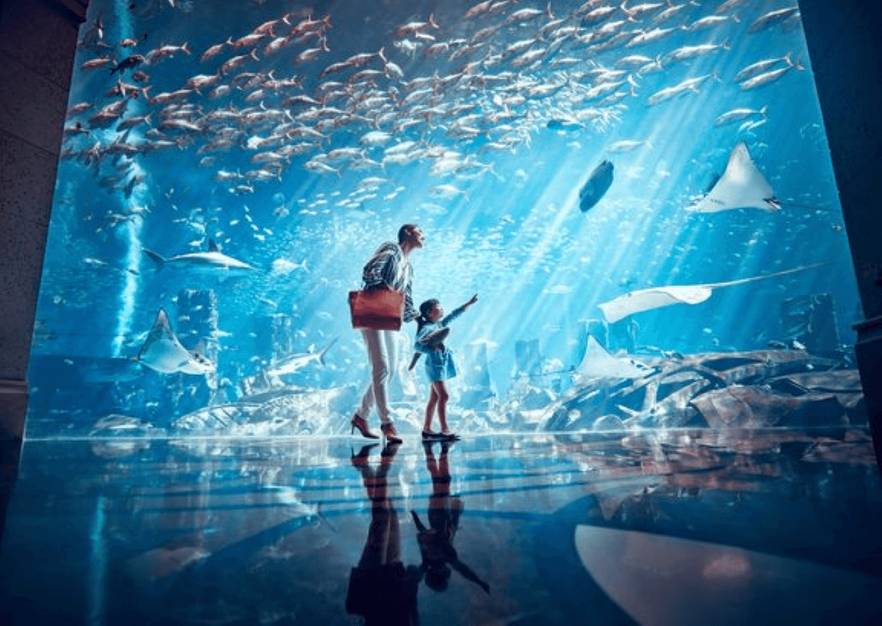 COMBO: IMG Worlds of Adventure with FREE Dubai Frame and Lost World Aquarium - image 12