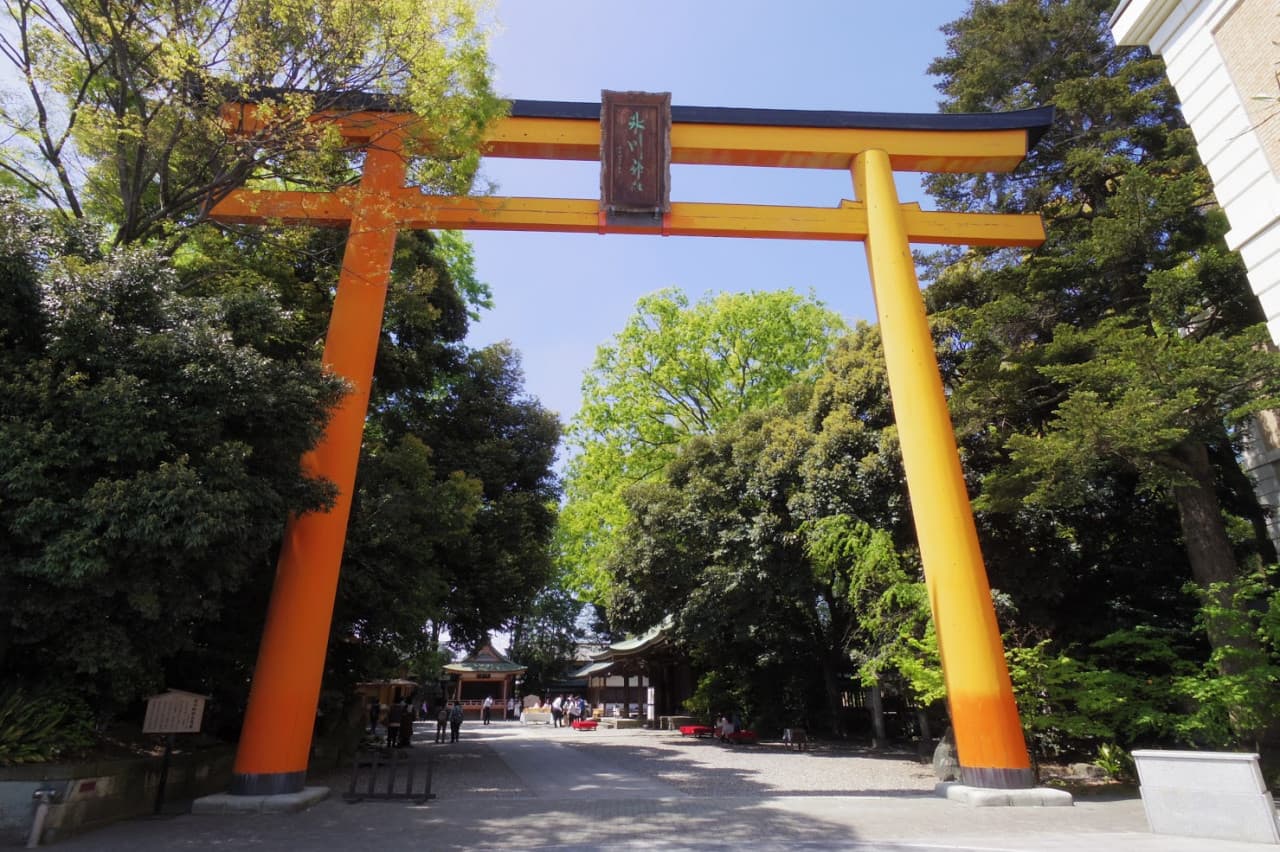 Seibu 1-Day Pass - image 3