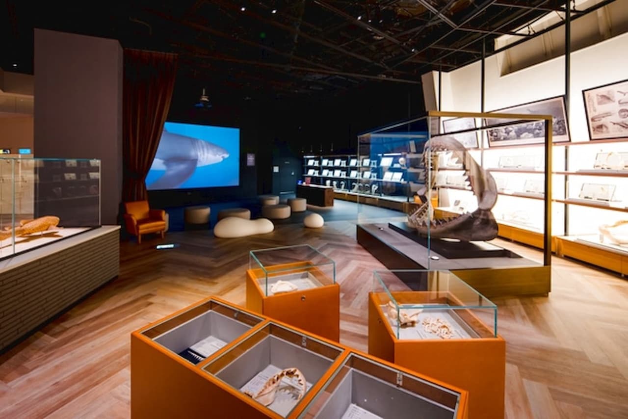 Aqua World Ibaraki Prefectural Oarai Aquarium Ticket - image 9