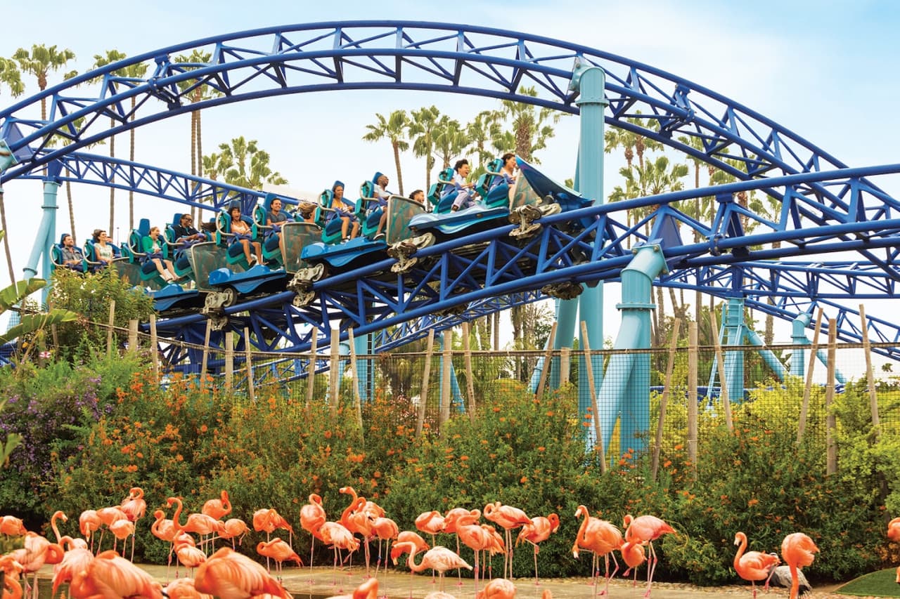 SeaWorld San Diego Ticket: Direct Entry - image 4