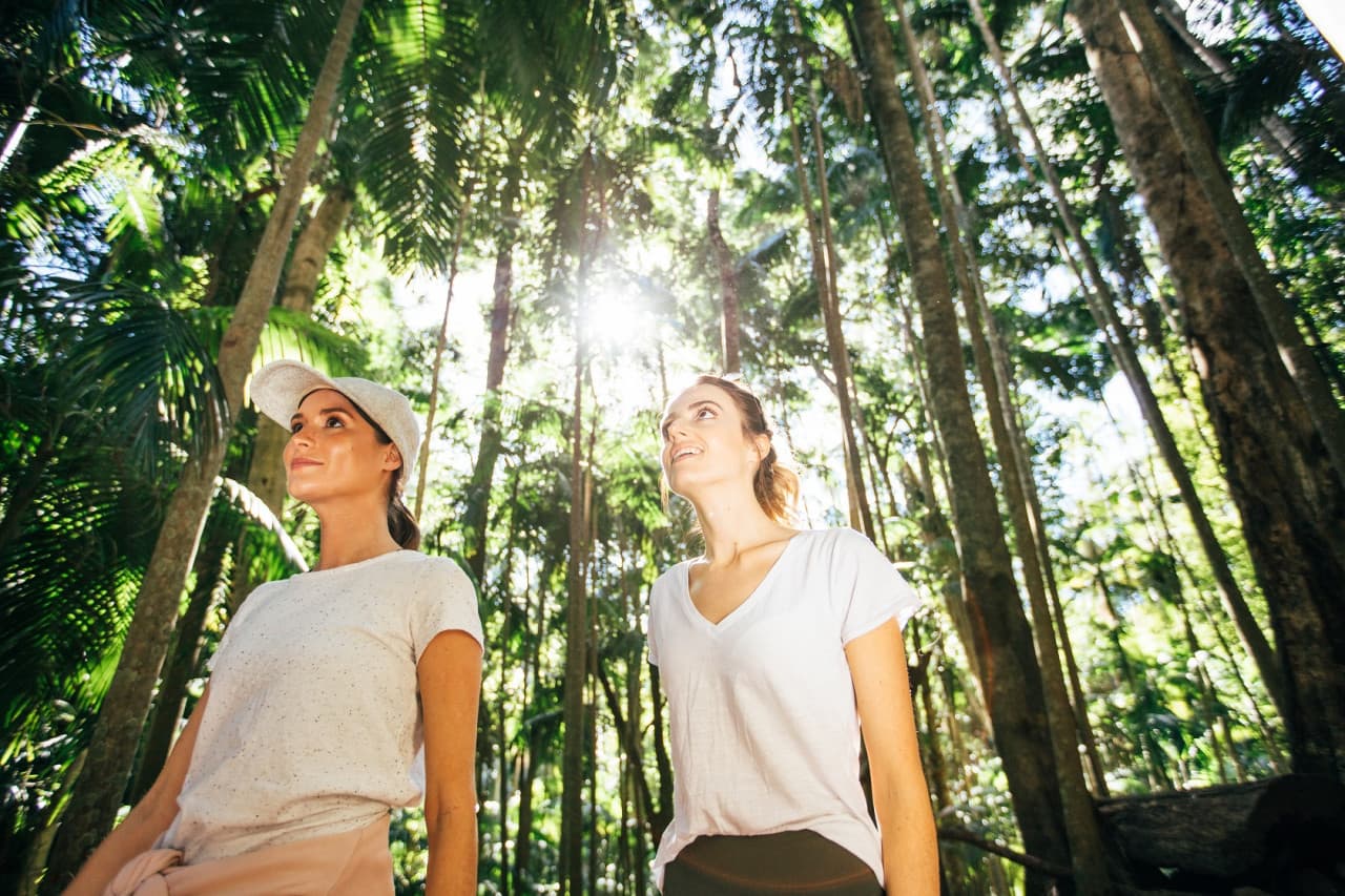 Tamborine Mountain Guided Walk and Wine Tasting Tour - imagen 3