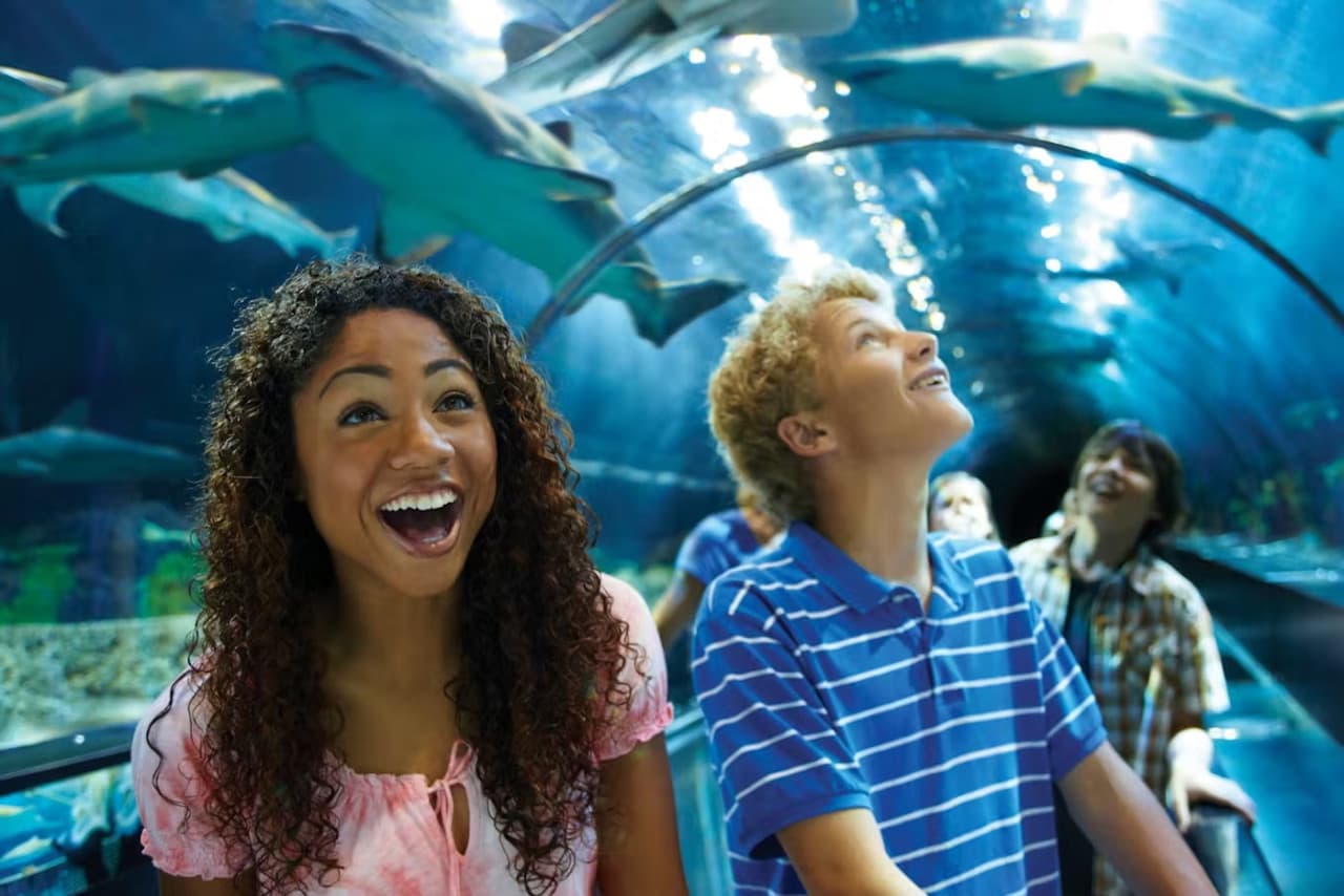 SeaWorld San Diego Ticket: Direct Entry - image 17