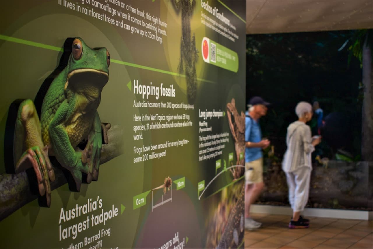 Skyrail Rainforest Cableway with Optional Kuranda Scenic Train Ticket and Hotel Pick-Up - image 9