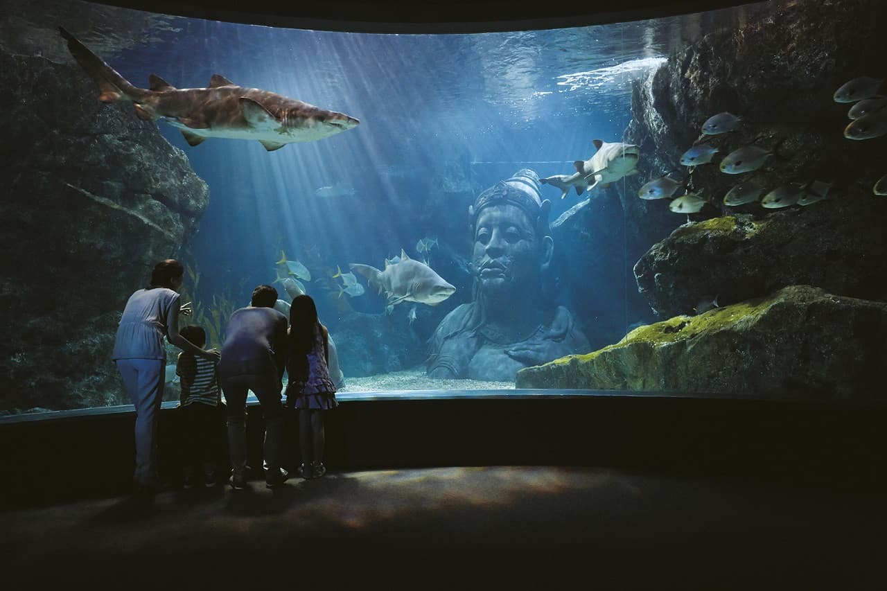 SEA LIFE Bangkok Ocean World Ticket - main image