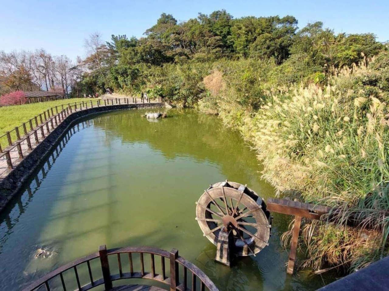 Pinglin Tea Culture and Maokong Full-Day Tour from Taipei - image 15