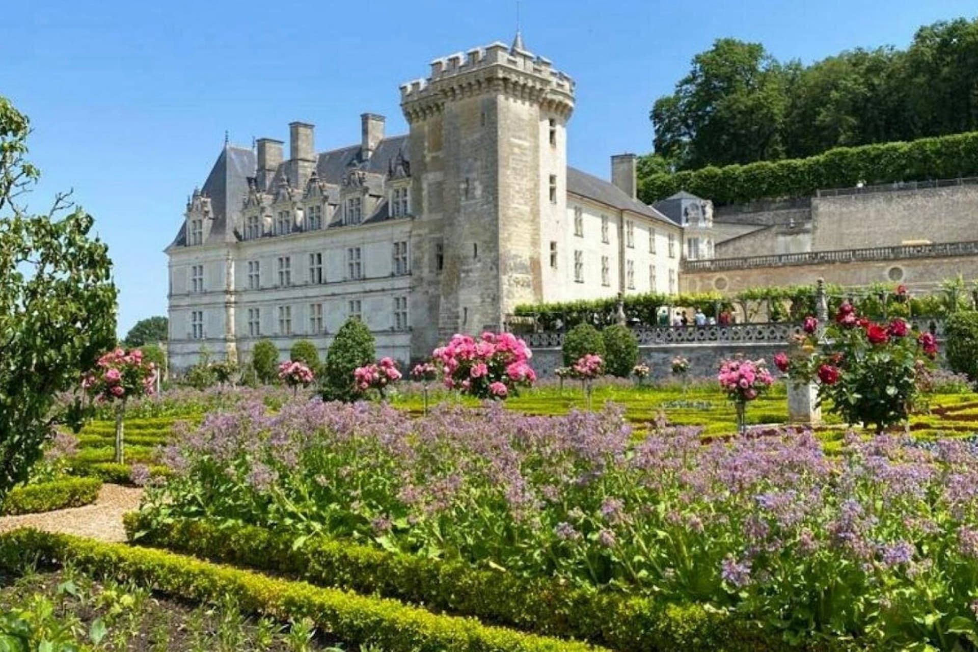 Chateau d'Azay-le-Rideau & Gardens of Villandry: Guided Trip from Tours - main image