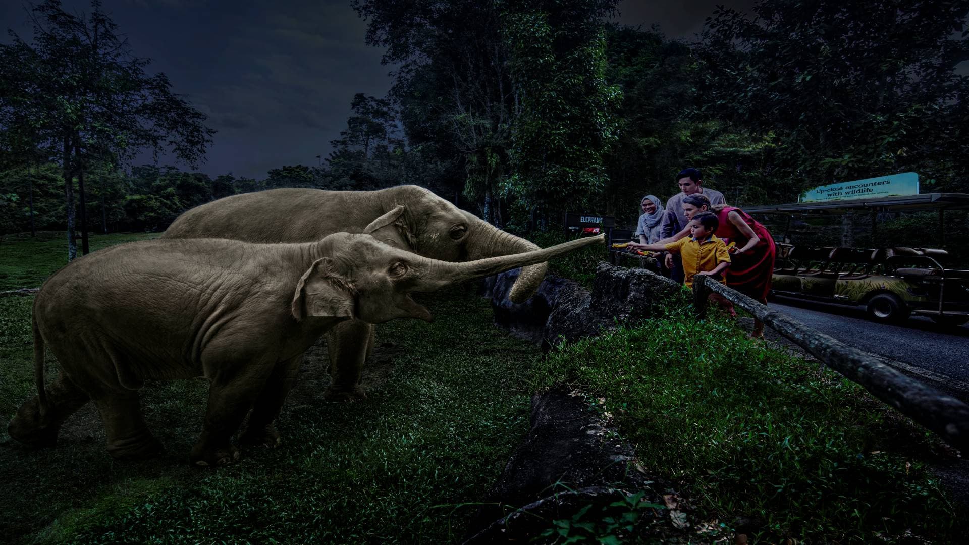 Singapore Night Safari Ticket - image 6