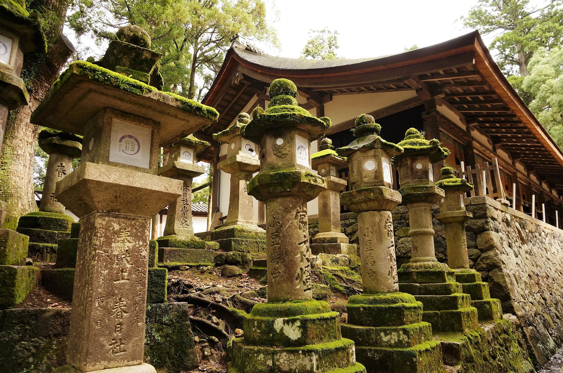 Nara Tour from Kyoto - image 4
