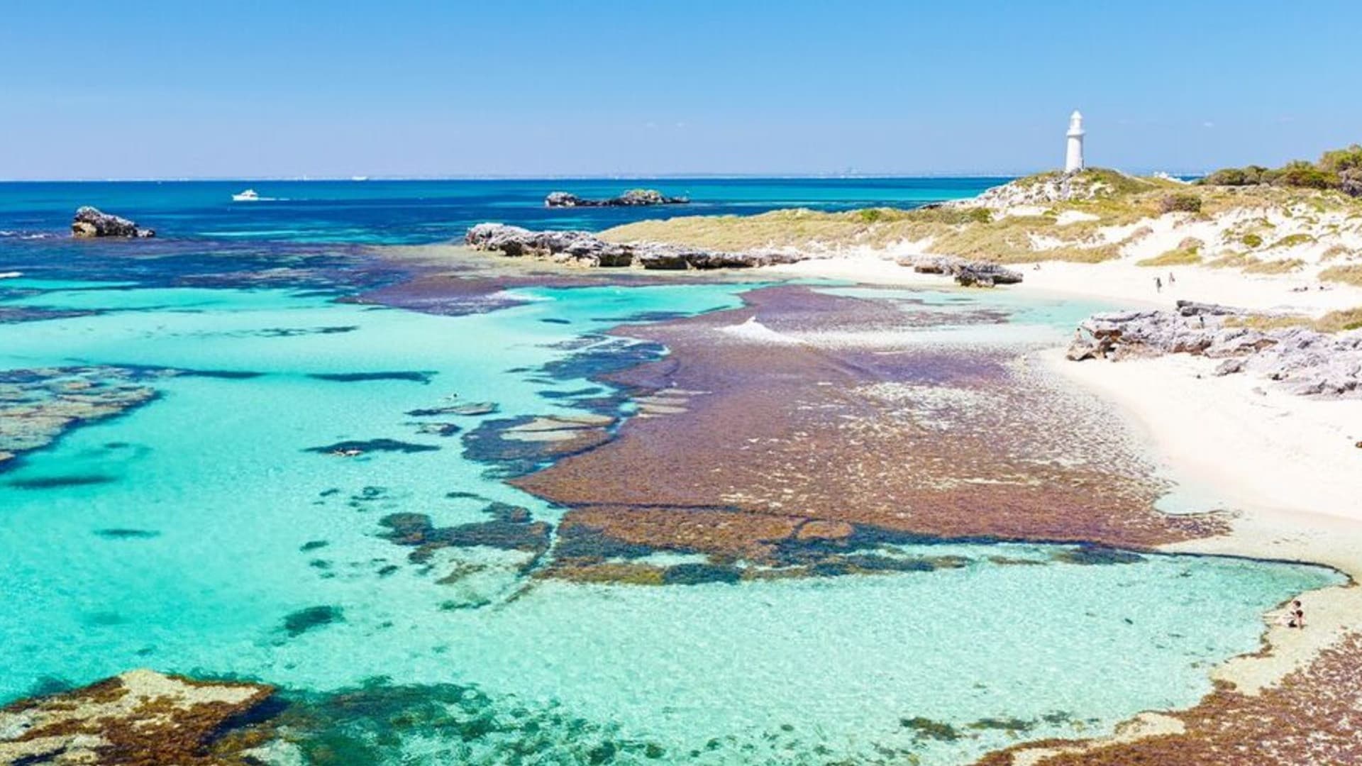 Rottnest Island Fortress Adventure Segway Tour with Round Trip SeaLink Ferry Transfer - image 3