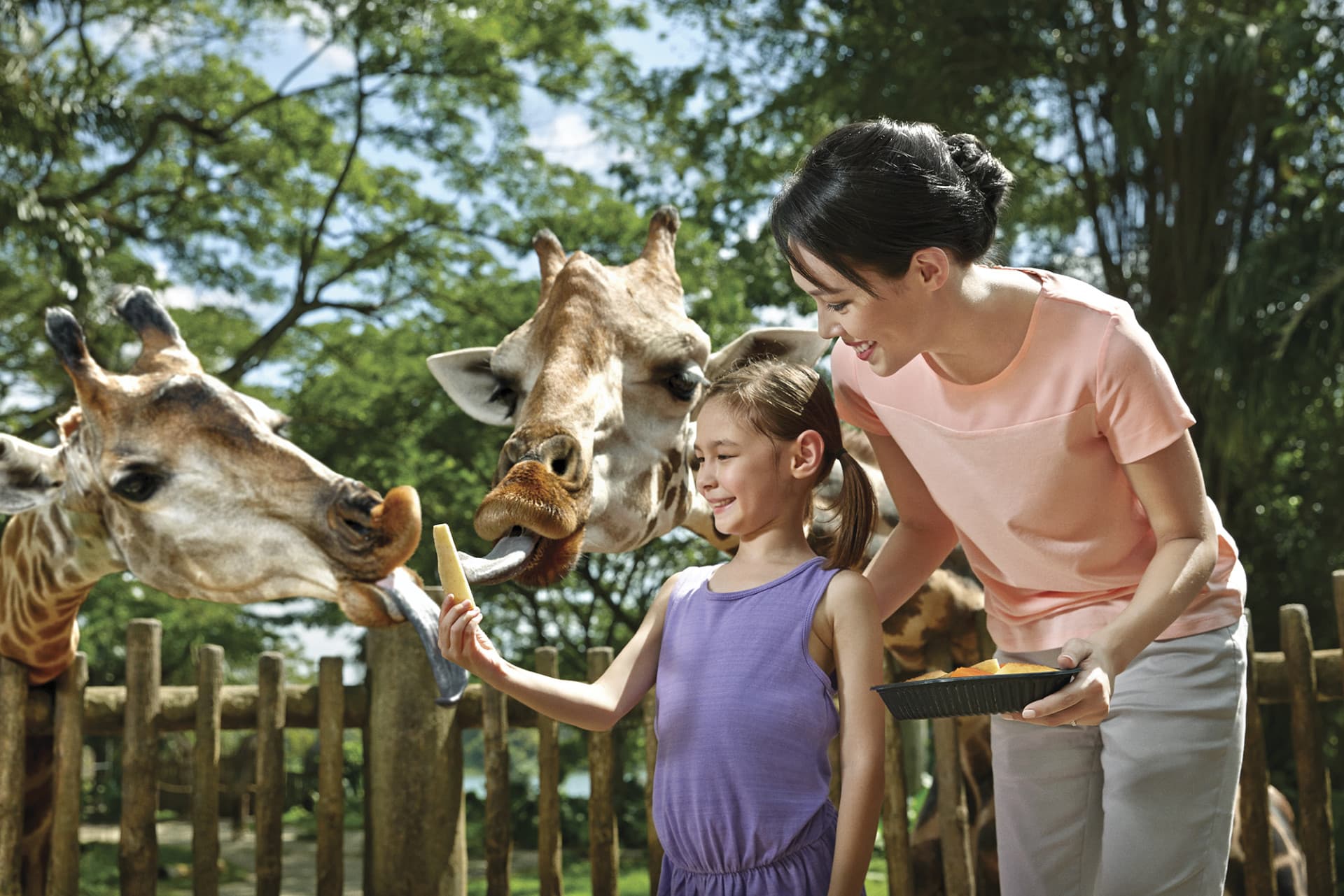 Go City Singapore Essentials Pass: 3 Attractions - image 11