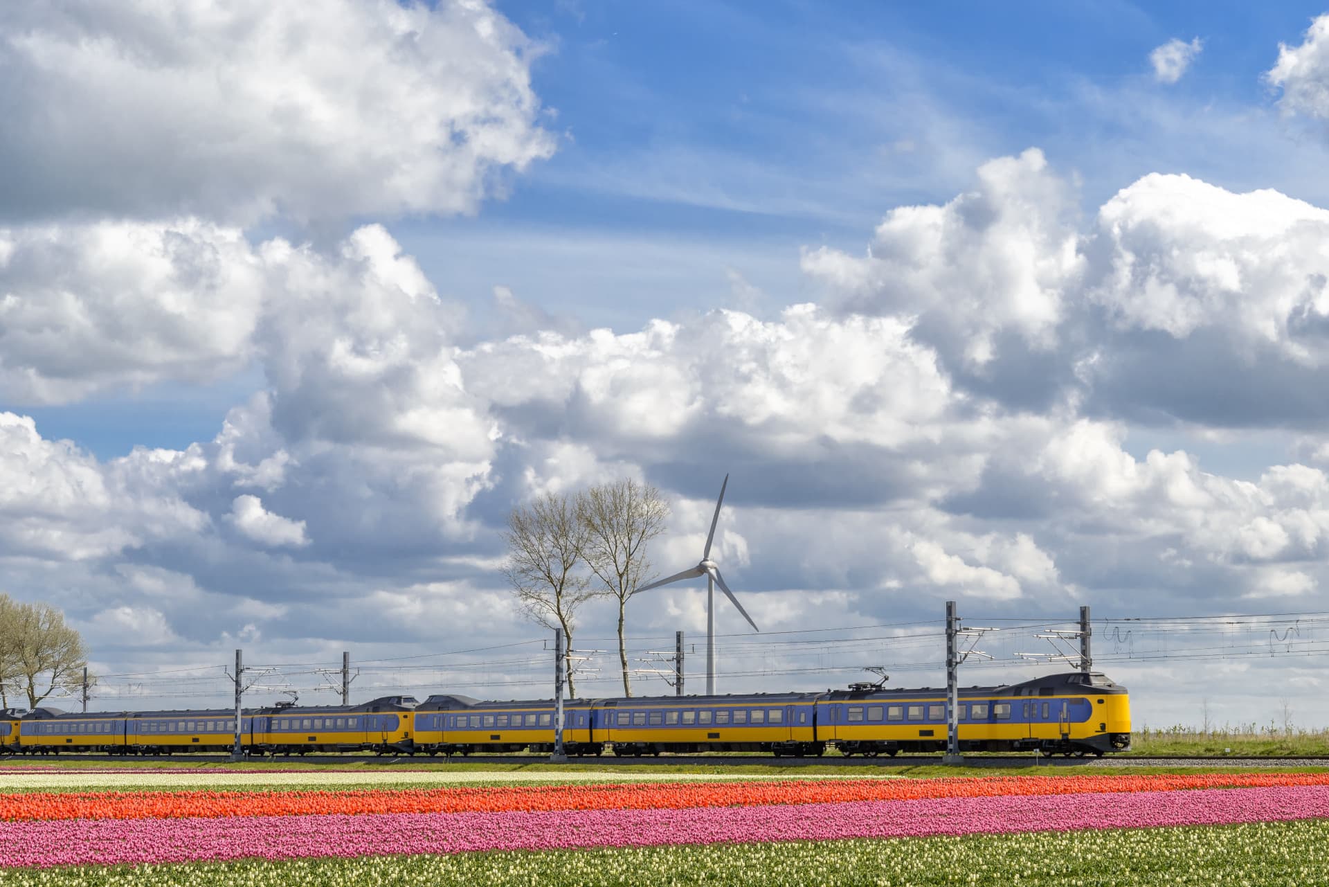Eurail Global Pass Family Card (Non-Consecutive Days) - image 6