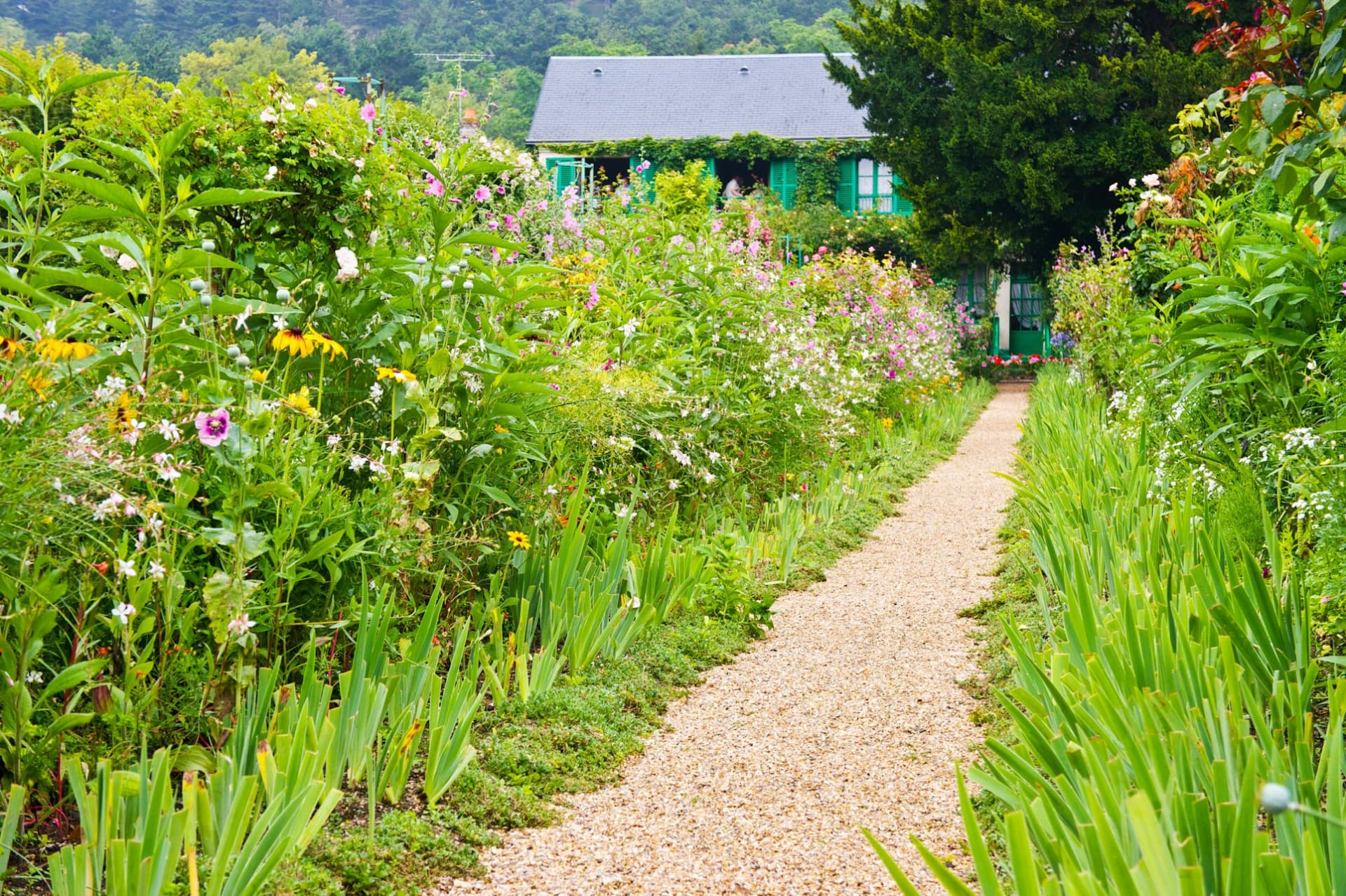 Giverny: Impressionist Day Trip from Paris with Audio Guide - image 12