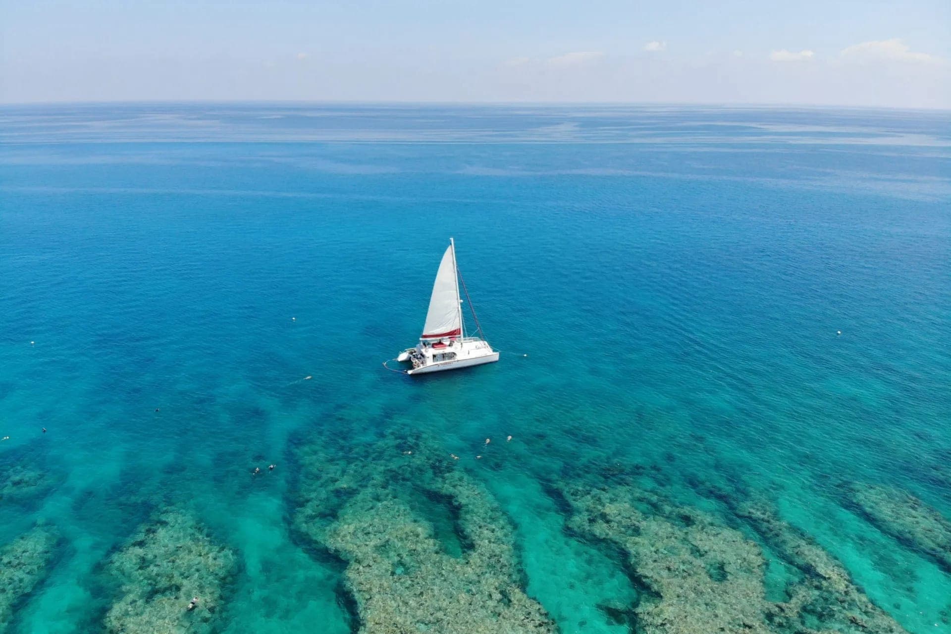 Key West: 3hr Snorkeling Experience with Unlimited Drinks - image 5