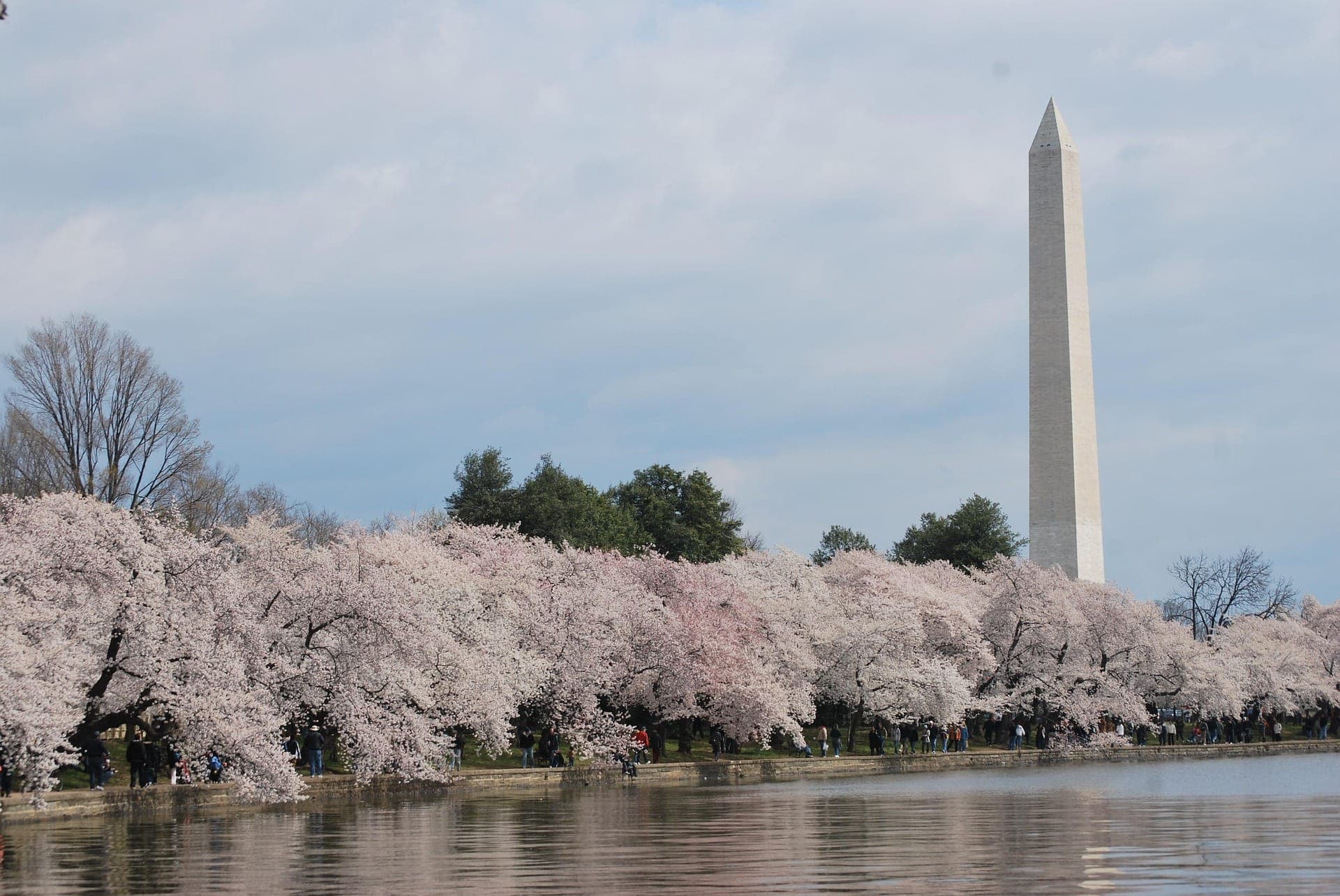 Washington Monument Ticket + Optional Guided Tour - image 6