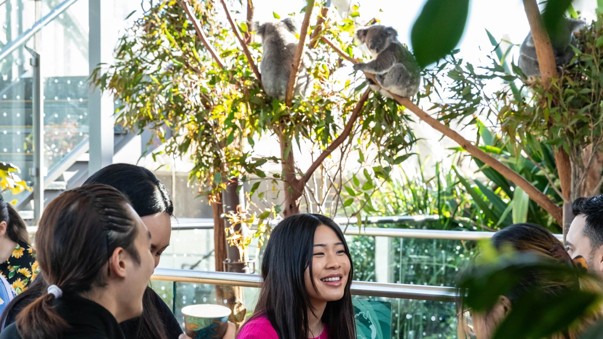 Breakfast with the Koalas at WILD LIFE SYDNEY - image 4
