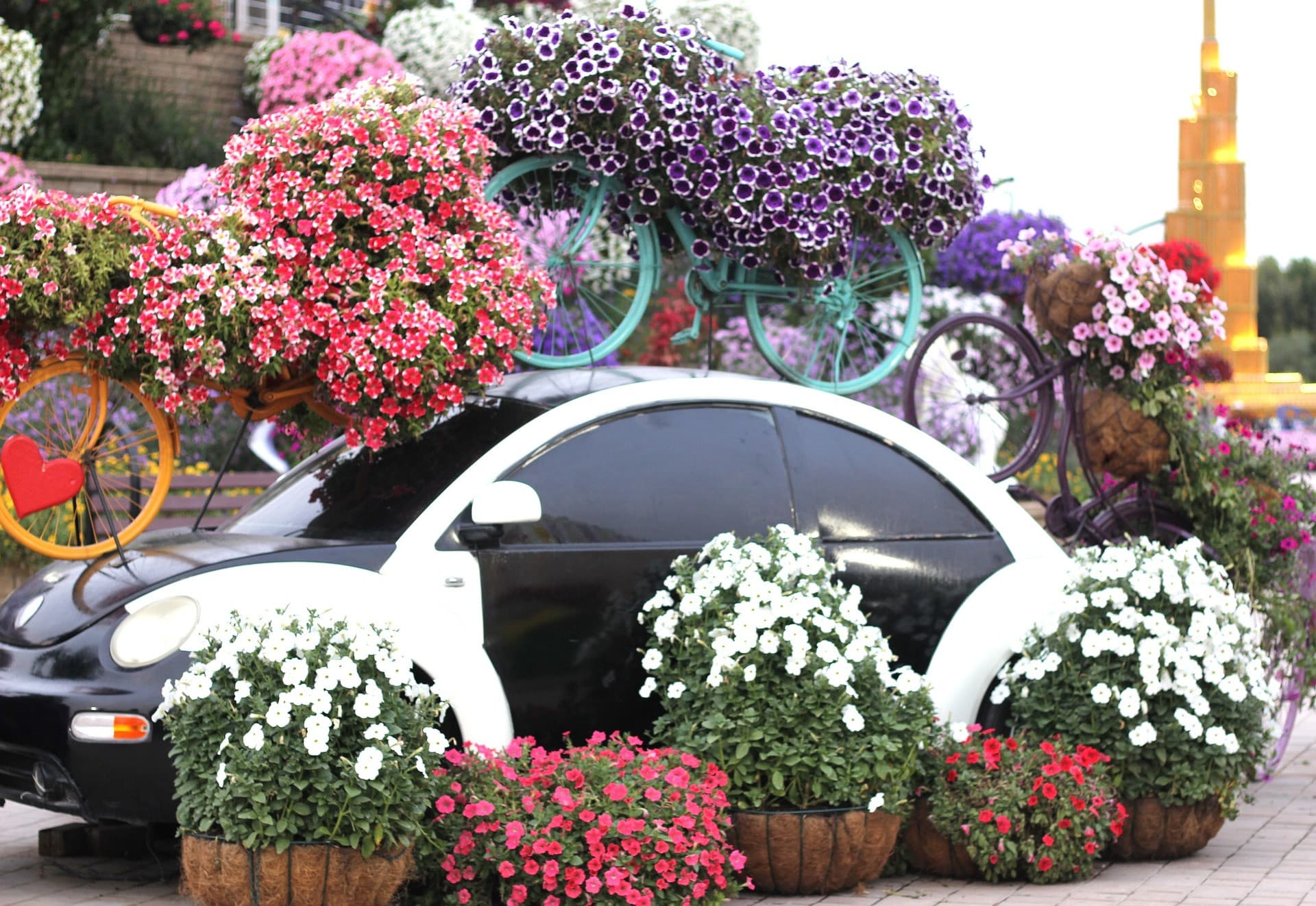 Dubai Miracle Garden Ticket - image 11