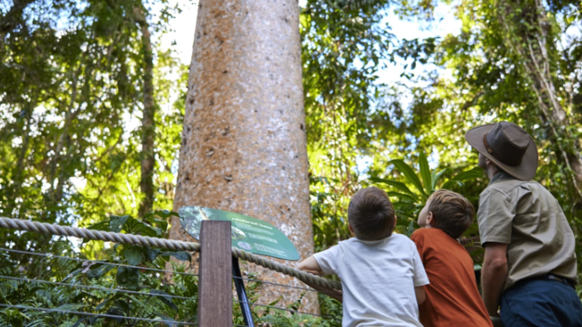 Skyrail Rainforest Cableway with Optional Kuranda Scenic Train Ticket and Hotel Pick-Up - imagen 10