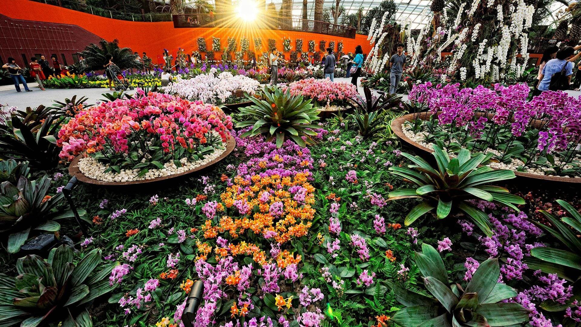 Entrada para el teatro IMBA en Gardens by the Bay - imagen 7