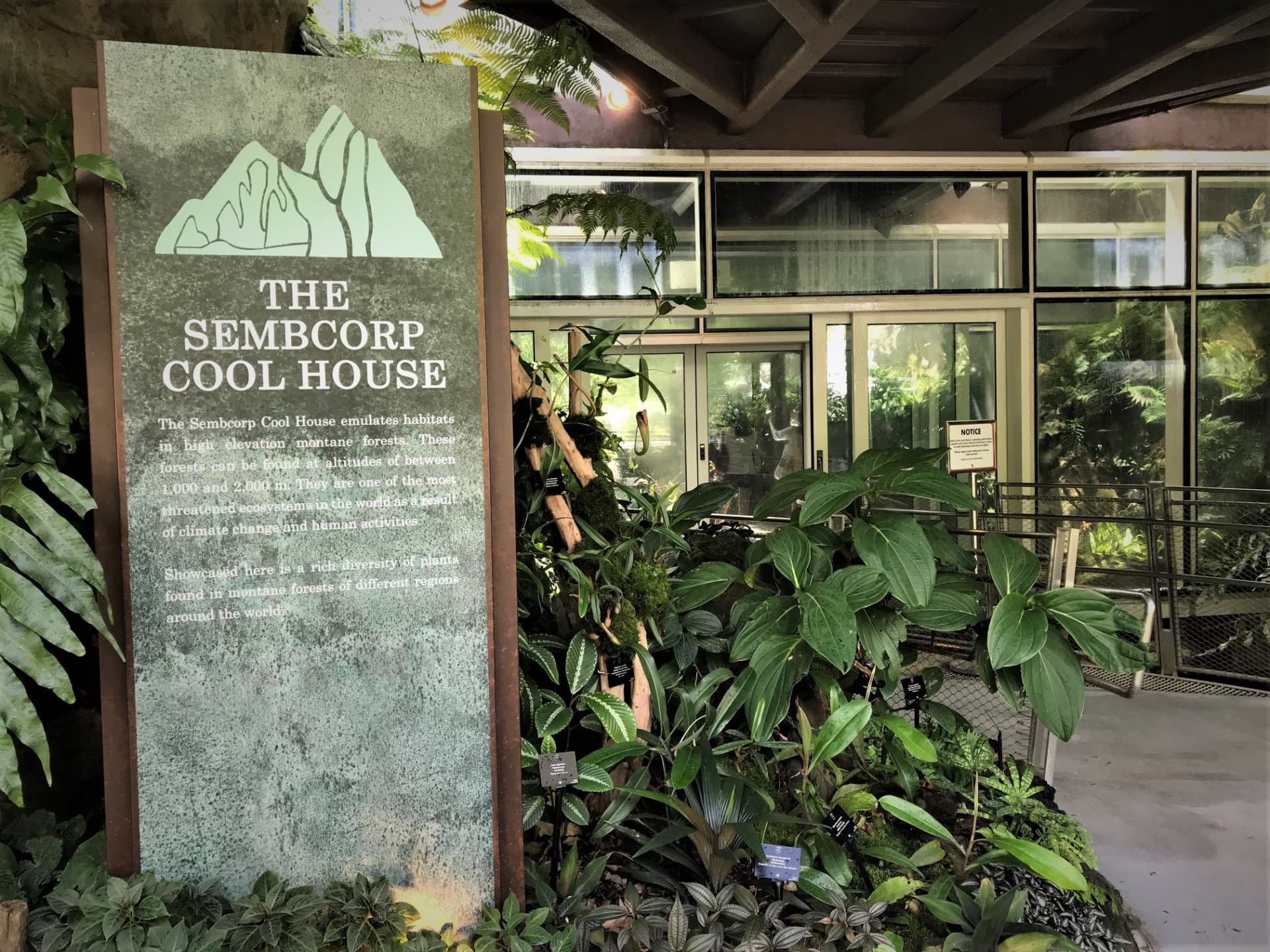 COMBO: Gardens by the Bay - Floral Fantasy + National Orchid Garden - image 6